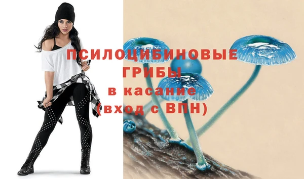 хмурый Ладушкин