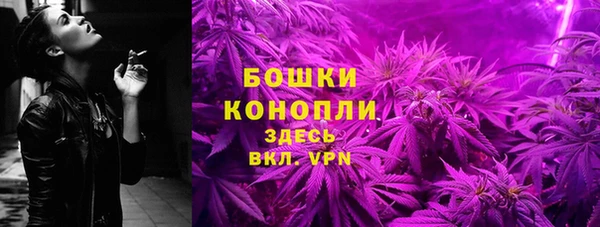 хмурый Ладушкин