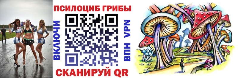 Купить  Короча  Псилоцибиновые грибы мицелий 
